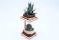 Geometric Double Cactus & Succulent Planter