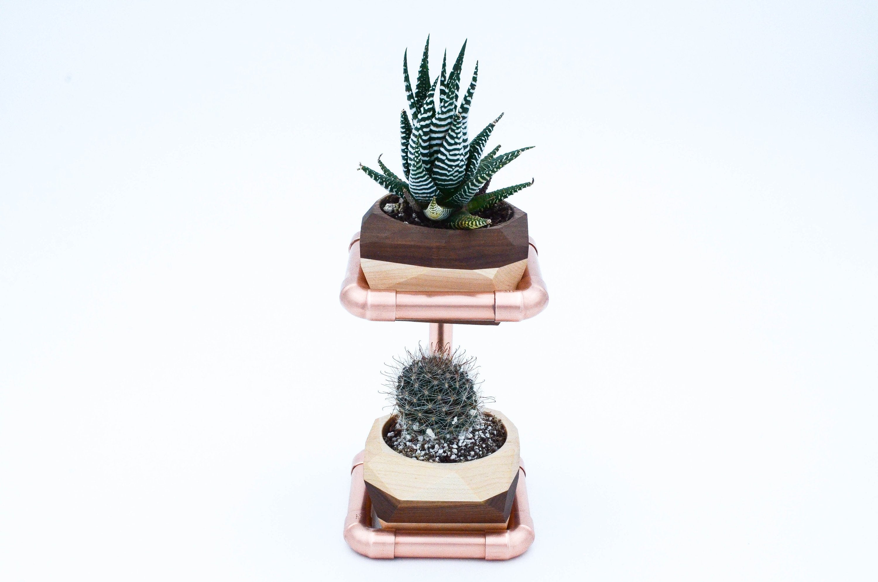Geometric Double Cactus & Succulent Planter